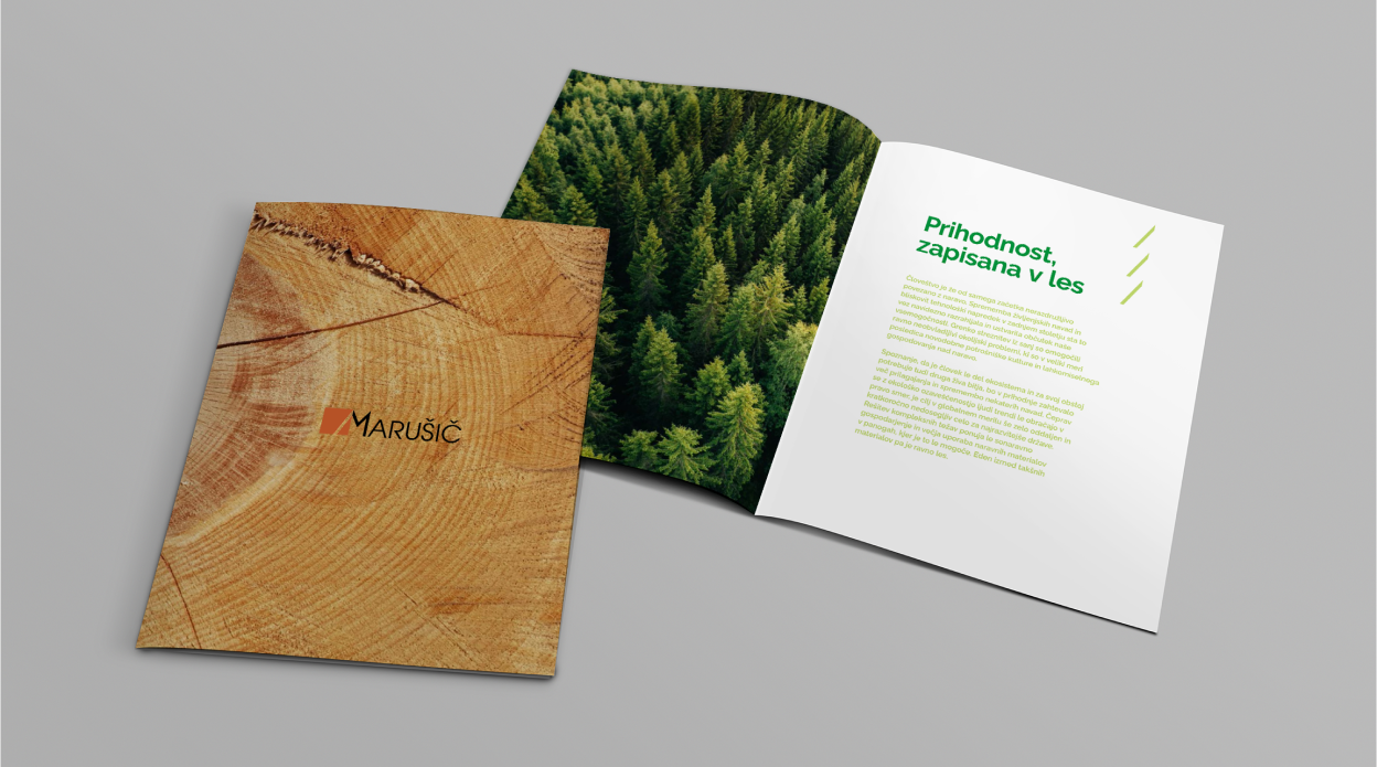 Brochure design_Vodik