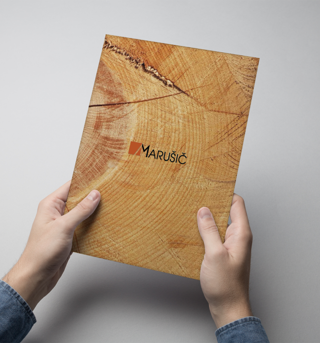 Brochure design_Vodik